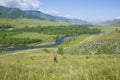 The girl with the raised hands in Mountains Altai Russia the top view Royalty Free Stock Photo