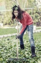 Girl with a rake tool cleaning garden green leafs Royalty Free Stock Photo