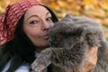 A girl in a red bandana on her head holds a British cat in her arms against the background of yellow autumn maple leaves. Royalty Free Stock Photo
