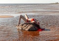 Girl in a red bathing suit on the beach Royalty Free Stock Photo