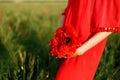 girl in a red dress holding a bouquet of red poppies on the background of the field