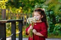 A girl in a red dress is playing in a village summer garden. Portrait of a little girl with a bouquet of daisies. The child Royalty Free Stock Photo