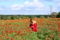 Girl in a red dress on a poppy field picks flowers Royalty Free Stock Photo