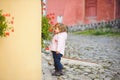 Girl and Red Flowers Royalty Free Stock Photo