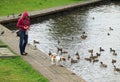 Girl in red jacket on walk with a dog feeds ducks