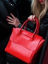 Girl with a red leather bag Royalty Free Stock Photo