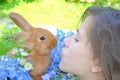 Girl with the red rabbit Royalty Free Stock Photo