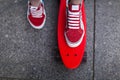 Girl in red sneakers put her foot on a skateboard Royalty Free Stock Photo