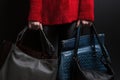 Girl in a red sweater holds leather handbags of different colors, women in a red sweater holds leather bags of different kinds, fo Royalty Free Stock Photo