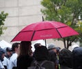 Girl With Red Umbrella In Rain Shower