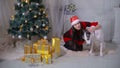 Girl regaling and playing with dog near christmas tree.