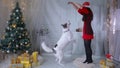 Girl regaling and playing with dog near christmas tree.