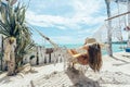 Girl relaxing in hammock in tropical beach cafe Royalty Free Stock Photo