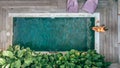 Girl relaxing in pool on Bali villa Royalty Free Stock Photo