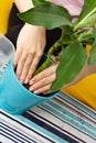 Girl replanting a plant in a pot