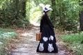 Girl in retro dress 18th century with valise in park Royalty Free Stock Photo