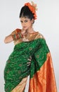 Girl with rich embroidery silk-sari Royalty Free Stock Photo