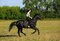 Girl ride gallop horseback on a field