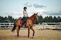 Girl rider on horseback. horseback riding Royalty Free Stock Photo