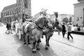 Girl rider invite to horse carriage ride in Krakow, Poland