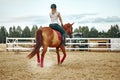 Girl rider riding a horse on a ranch. Horseback Riding Royalty Free Stock Photo