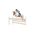 Girl rider trains to overcome barriers on a pony Royalty Free Stock Photo