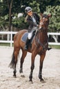 A girl rides fast on a brown racehorse next to a hurdle at a show jumping competition on a clear summer day Royalty Free Stock Photo