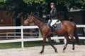 A girl rides fast on a brown racehorse next to a hurdle at a show jumping competition on a clear summer day Royalty Free Stock Photo