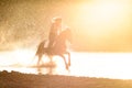 A girl rides a horse in the water along the river bank in the rays of sunset Royalty Free Stock Photo