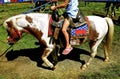 Girl rides a pony carousel Royalty Free Stock Photo