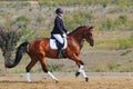 Girl riding bay dressage horse Royalty Free Stock Photo