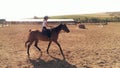 Girl riding chestnut pony