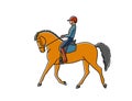 Girl is riding a dressage horse