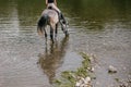 Girl riding gray horse down the calm river water Royalty Free Stock Photo