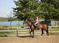 Girl riding horse Royalty Free Stock Photo