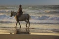 Girl riding horse on the beach at sunset. Horsewoman on the sea Royalty Free Stock Photo