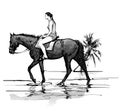 Girl riding a horse on the beach