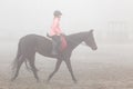 Girl riding horse on the field in the mist morning Royalty Free Stock Photo