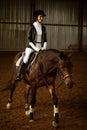 Girl riding a horse. Rider on a horse gallop. Equestrian sport concept.