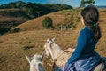 Girl riding horse in a rural landscape Royalty Free Stock Photo