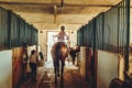 girl riding a horse in a stable. Royalty Free Stock Photo