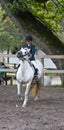 Girl riding on a horse. Royalty Free Stock Photo