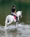 Girl riding a snow white horse down the calm river water Royalty Free Stock Photo