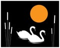 Two white swans illustration swimming in a pond at night