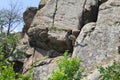 Girl climbing on the rock