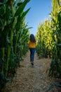 A girl running through the corn maze at the pumpkin patch, Spina Farm, California Royalty Free Stock Photo