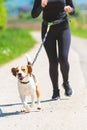 Girl running with dog outdoors in nature on road