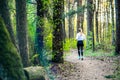 Girl jogging in forest sunset spring Royalty Free Stock Photo