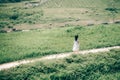 Girl running in the garden