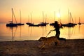 Girl running with her dog by the lake at sunset Royalty Free Stock Photo